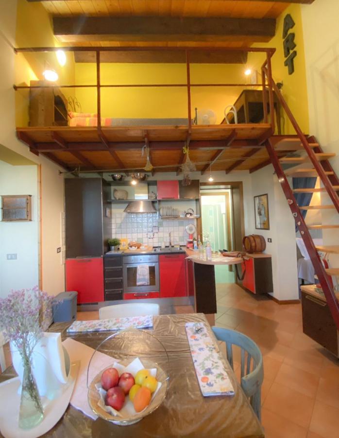 Ca' Tomassino Holiday Apartments 乌尔比诺 外观 照片