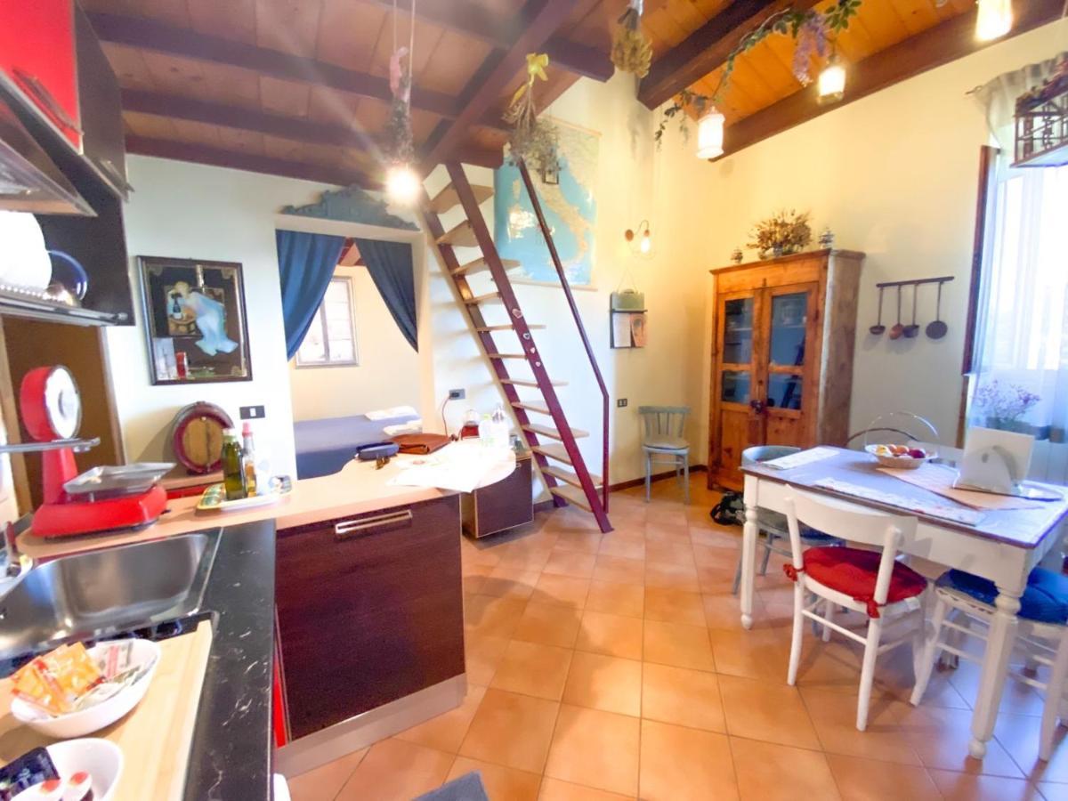 Ca' Tomassino Holiday Apartments 乌尔比诺 外观 照片