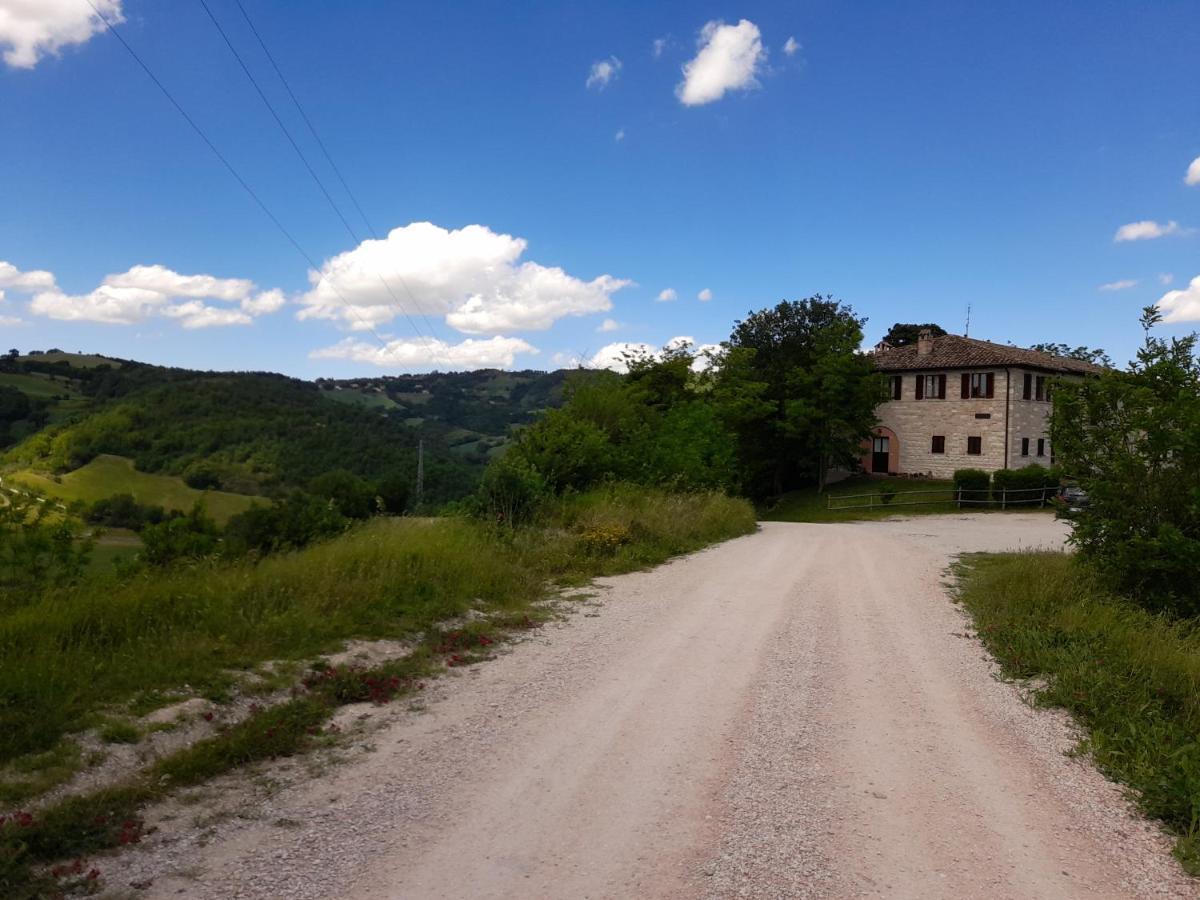 Ca' Tomassino Holiday Apartments 乌尔比诺 外观 照片