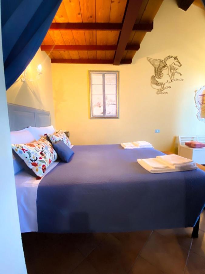Ca' Tomassino Holiday Apartments 乌尔比诺 外观 照片