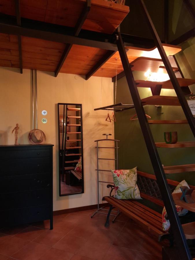 Ca' Tomassino Holiday Apartments 乌尔比诺 外观 照片