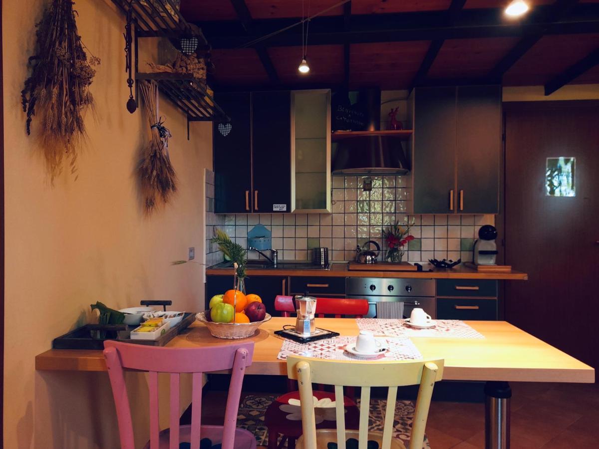 Ca' Tomassino Holiday Apartments 乌尔比诺 外观 照片